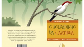 Um livro para viajar pelo Brasil